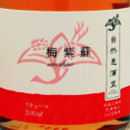 自然恵酒堂　梅紫蘇　300ml(箱入り)