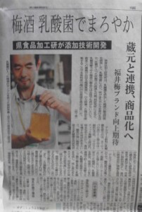 梅酒　乳酸菌でまろやか　2013年8月10日福井新聞　